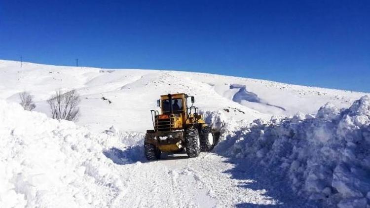 Malatya’da Beyaz Mücadele Devam Ediyor