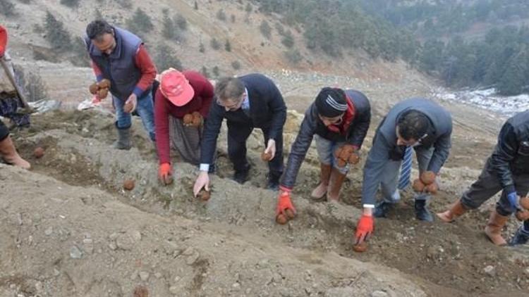 Mersin’de Maden Sahaları Topalak Çamur Tohumlarla Yeşillendiriliyor