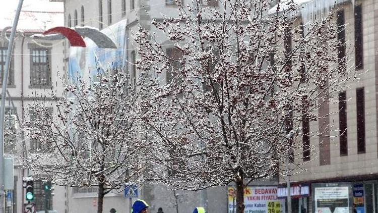 Sibirya Soğukları Erzurum’u Dondurdu