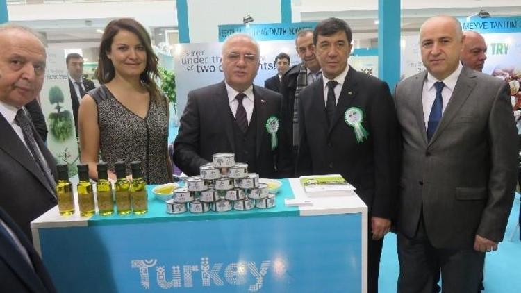 Zeytin Ve Zeytinyağının Tanıtım Atağı Sürüyor