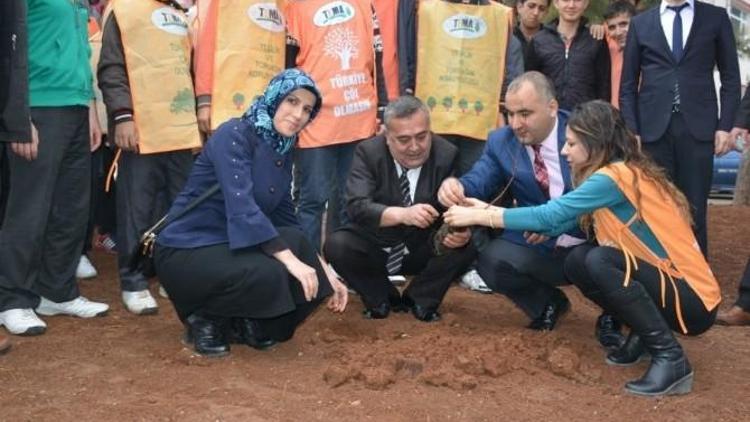 Yeşil Okulla Yeşil Kilis, Okulları Ağaçlandırma Projesi