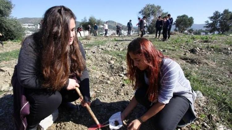 Bodrumlu Liselilerin Doğa Ve Tarih Sevgisi