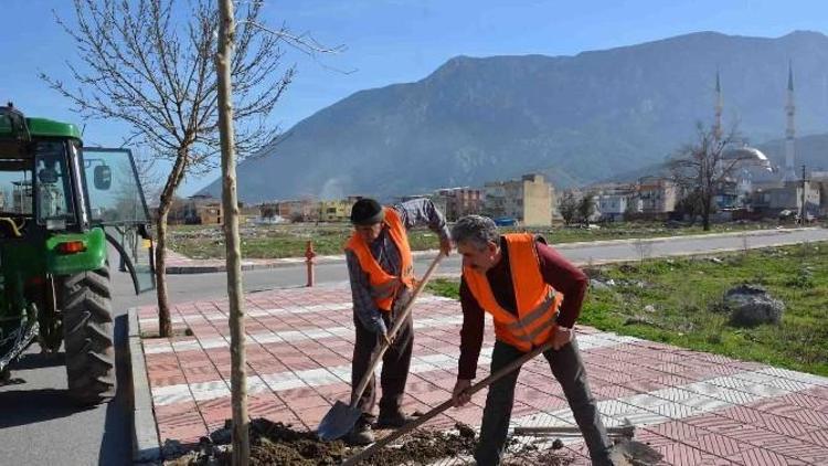 Şehzadeler Belediyesi’nden Ağaçlandırma Seferberliği