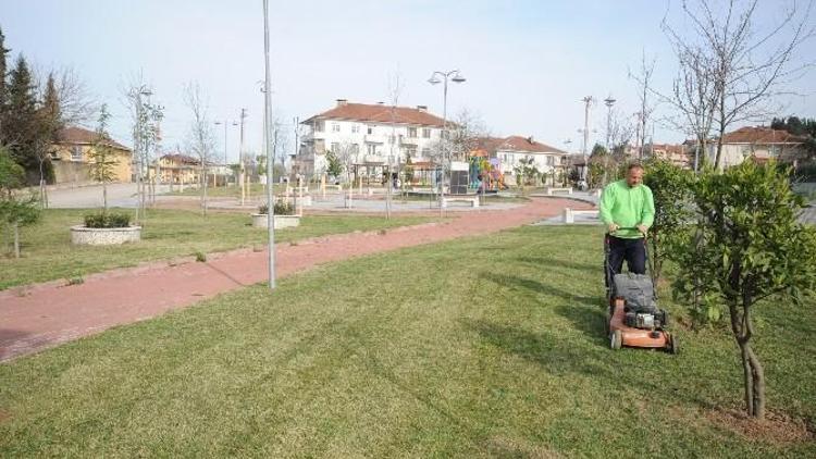 Başiskele Parklarına Bahar Bakımı