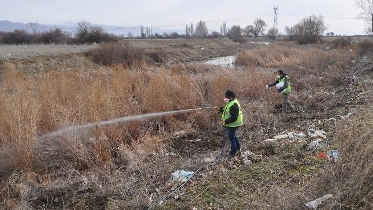 Seydişehir’de Haşereye Karşı İlaçlama Çalışmaları Başladı