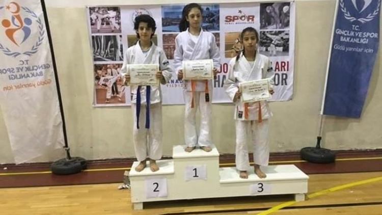 Analig Judoda Salihli Rüzgarı