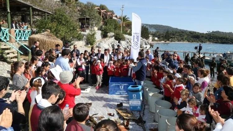 Bodrum’da Deniz Dibi Temizliğine Yoğun İlgi