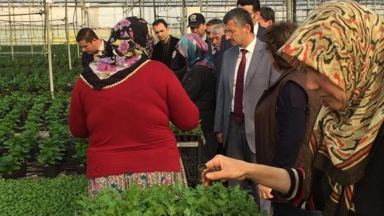 Vali Bektaş Kırkağaç’ta İncelemelerde Bulundu