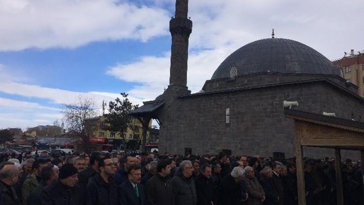 Tarihçi Yazar Zeynel’in Acı Günü