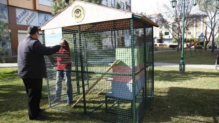 Odunpazarı’nda Kedi Evleri Çoğalıyor