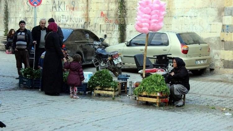 Doğal Olarak Yetişen Yabani Otlara İlgi