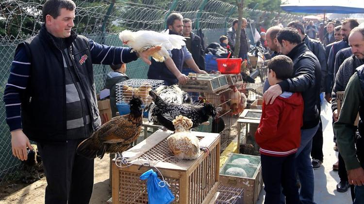 Kuş pazarı yoğun ilgi görüyor