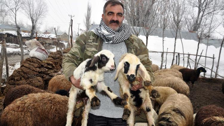 Muşlu besiciler Güneydoğuya gidemedi