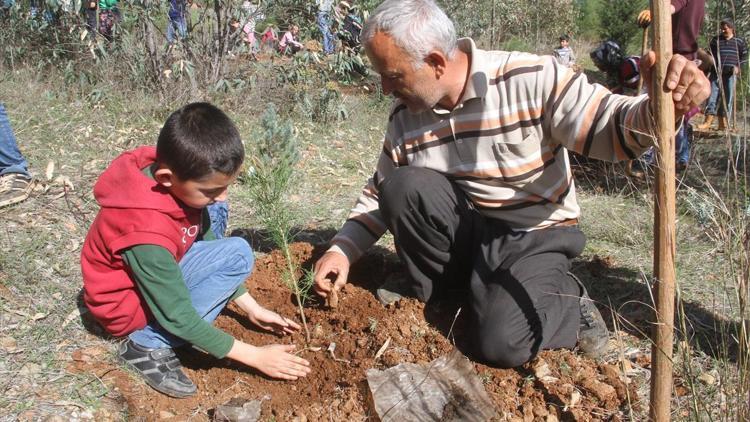 Fidanlar davul zurna eşliğinde toprakla buluşturuldu