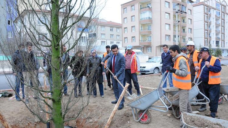 Kırşehir Belediyesinden ağaçlandırma çalışmaları