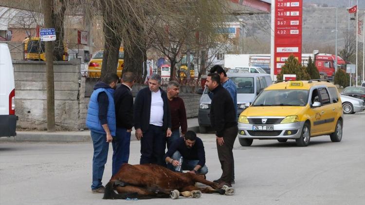 Bitkinlikten yere yığılan ata vatandaşlar sahip çıktı