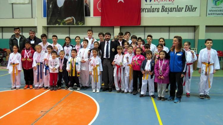 Bigada karate turnuvası