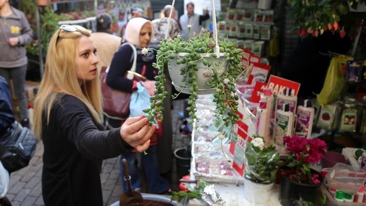 Balkonunuzu 100 liraya çiçeklerle süsleyebilirsiniz