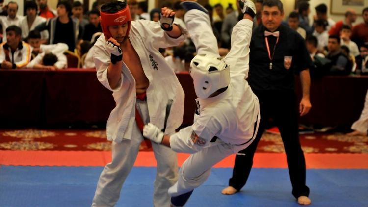 Budokaido Kyokushin Türkiye Şampiyonası