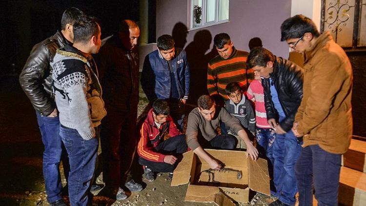 Vanda bulunan hayvan iskeleti şaşırttı