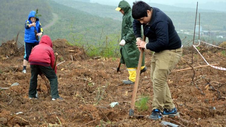 250 bin Şehide 250 bin Fidan Projesi