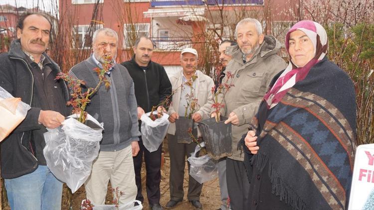 Şehit yakınlarına fidan hediye edildi