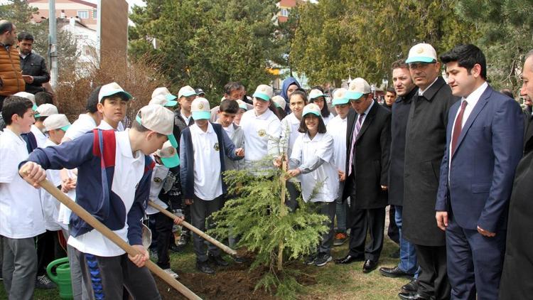 21 Mart Dünya Ormancılık Günü