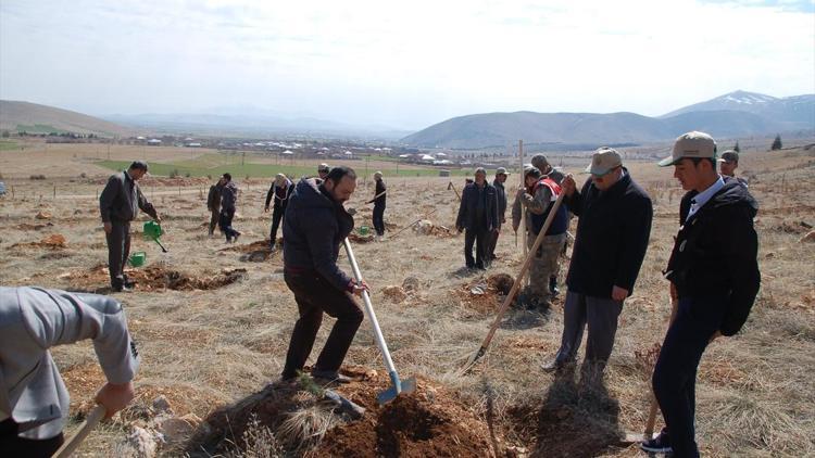 21 Mart Dünya Ormancılık Günü ve Orman Haftası