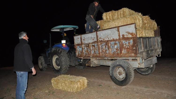 Badem üreticileri don nöbetinde