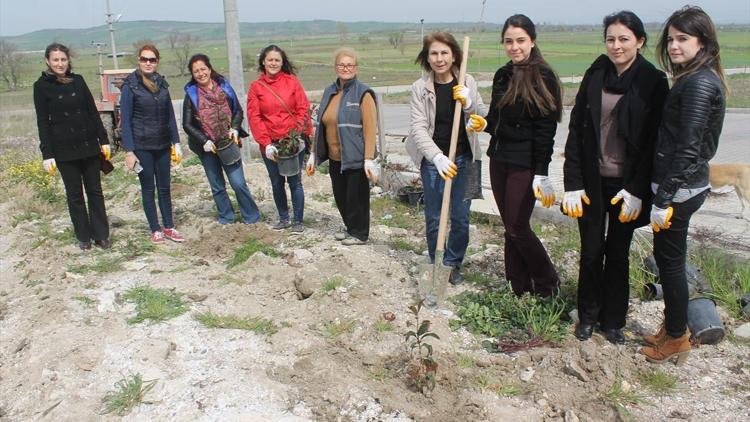 Dünya Ormancılık Günü ve Orman Haftası