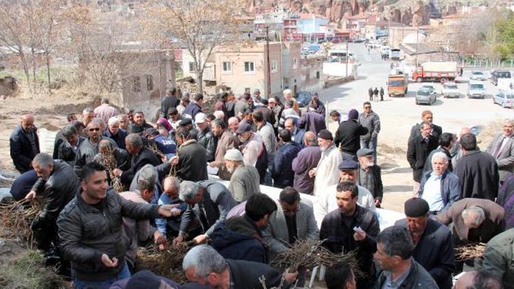 İncesu Belediyesinden bağcılığa destek