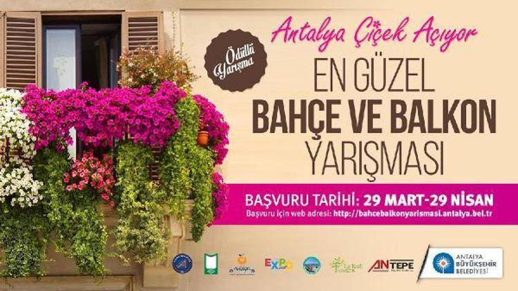 En Güzel Bahçe ve Balkon yarışması başlıyor