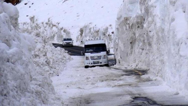 Ovit Dağı’nda 20 metreyi aşan kar kütleleri ile mücadele sürüyor