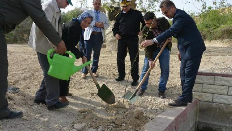 Şehit Yüzbaşı Yiğitcan Çiğanın adı hatıra ormanında yaşayacak