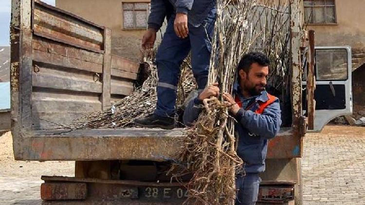 Sarız’da 5 bin meyve fidanı dağıtıldı