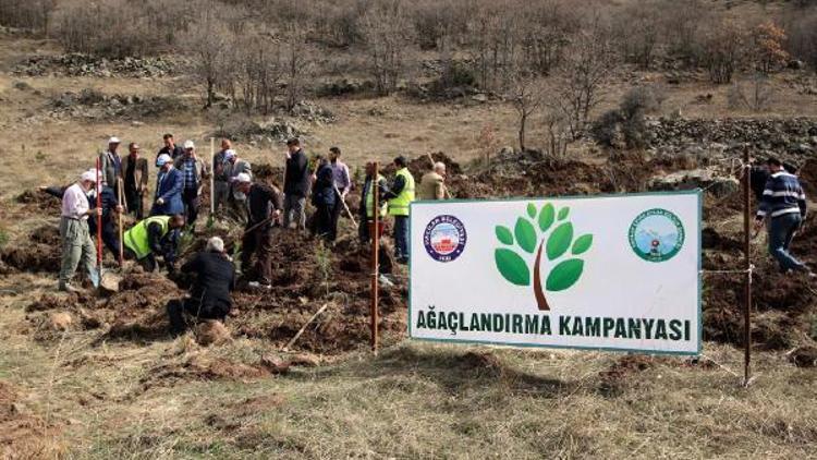 Hacılarda bin fidan, toprakla buluştu