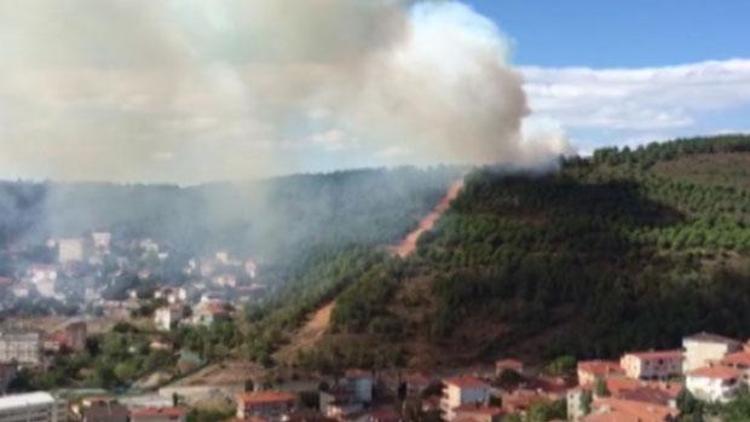 İstanbulda korkutan orman yangını