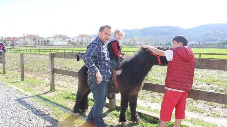 Çocuklar ponyleri sevdi