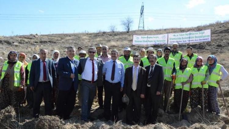 Yaban hayatı için meyve fidanı dikildi