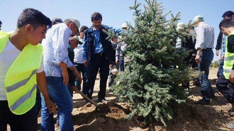 Mezun öğrencilerden hatıra ormanı