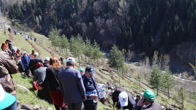 Şavşat Belediyesi Çocuk Meclisinden Hatıra Ormanı için fidan dikimi