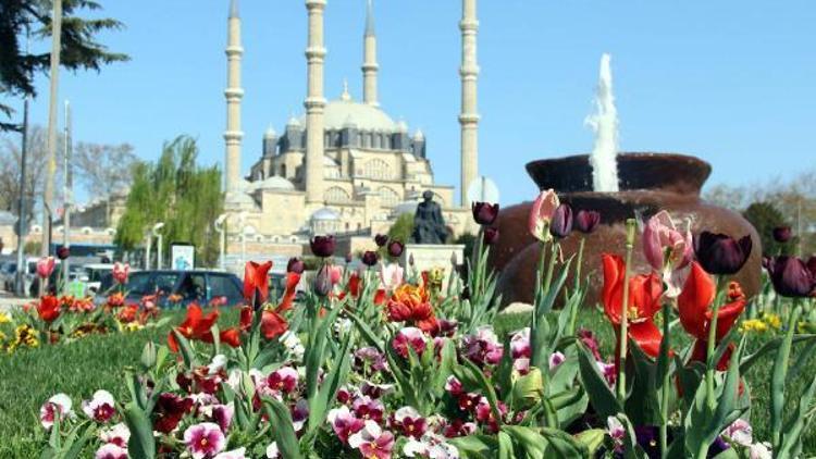 Edirne rengârenk lalelere büründü