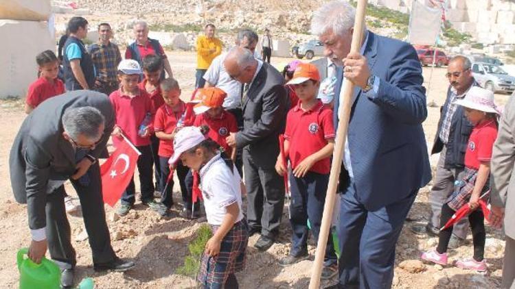 Mermer çıkarılan sahalar yeşillendiriliyor