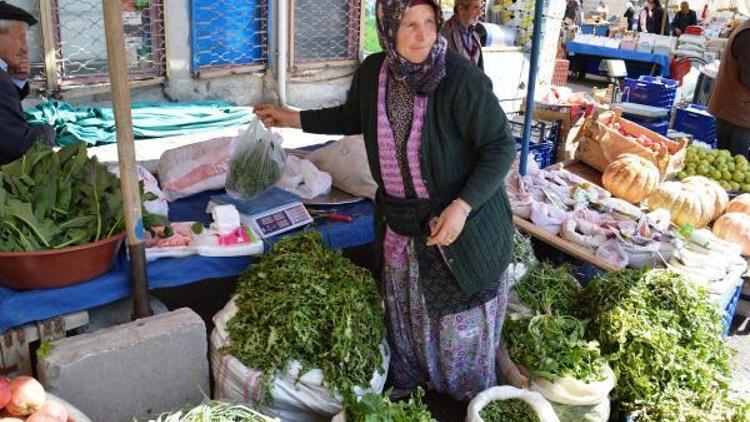 Doğadan toplayıp çocuklarını okuttu, evinin eksiğini görüyor