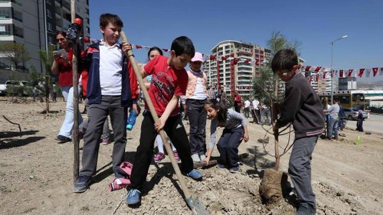 Yenimahallede 250 çam fidesi toprakla buluştu