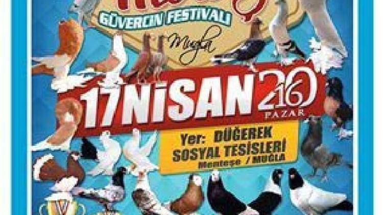 Muğlada güvercin festivali 17 Nisanda