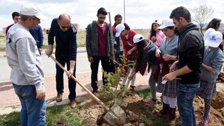 Afyonkarahisarda öğrenciler fidan dikti