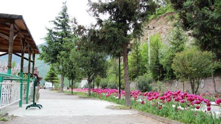 Artvin’de lale zamanı