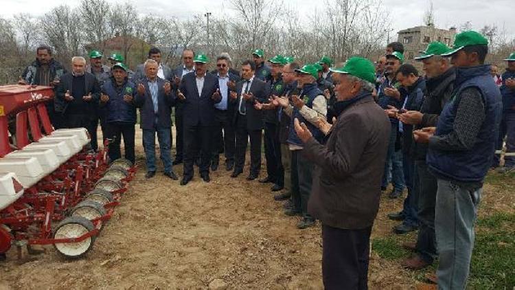 Özvatan, Develi ve Tomarza’da pancar tarımına ilgi artıyor