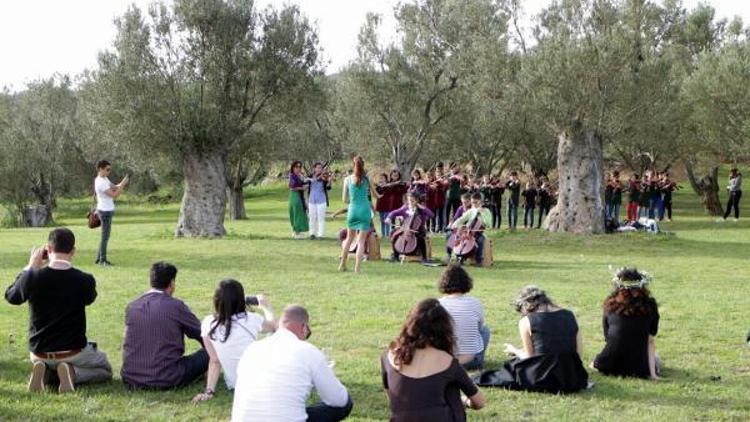 Slow Olivede zeytinlik yürüyüşü